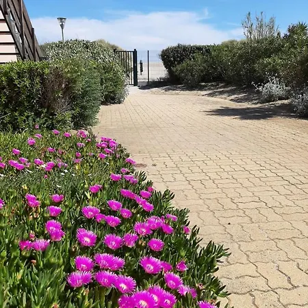 Plage De La Roquille Agde Exterior foto